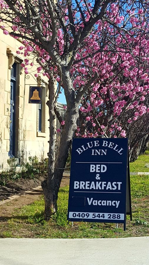 Blue Bell Inn Sorell Exterior photo