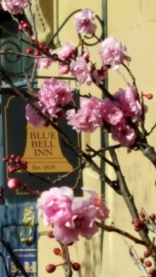 Blue Bell Inn Sorell Exterior photo